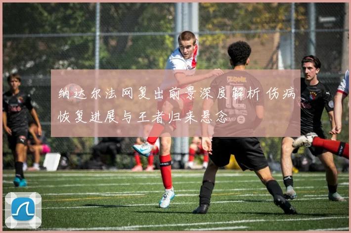 纳达尔法网复出前景深度解析 伤病恢复进展与王者归来悬念