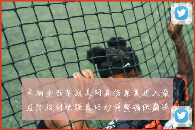 辛纳全面备战美网肩伤康复进入最后阶段训练强度巧妙调整确保巅峰状态