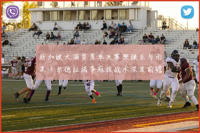 新加坡大满贯男单决赛樊振东与雨果卡尔德拉诺争冠技战术深度前瞻解析
