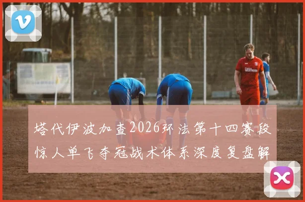 塔代伊波加查2026环法第十四赛段惊人单飞夺冠战术体系深度复盘解析