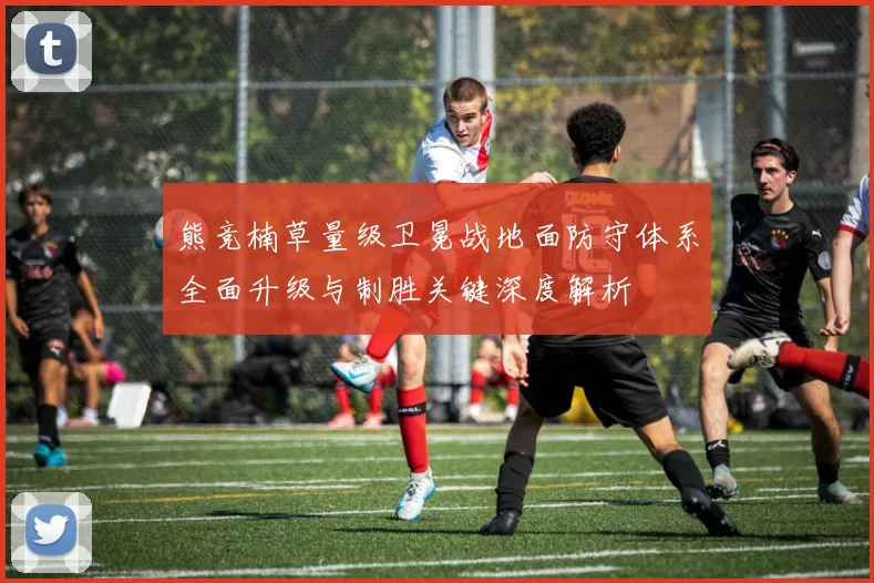 熊竞楠草量级卫冕战地面防守体系全面升级与制胜关键深度解析
