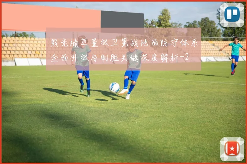 熊竞楠草量级卫冕战地面防守体系全面升级与制胜关键深度解析
