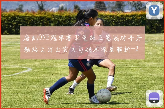 唐凯ONE冠军赛羽量级卫冕战对手丹勒站立打击实力与战术深度解析